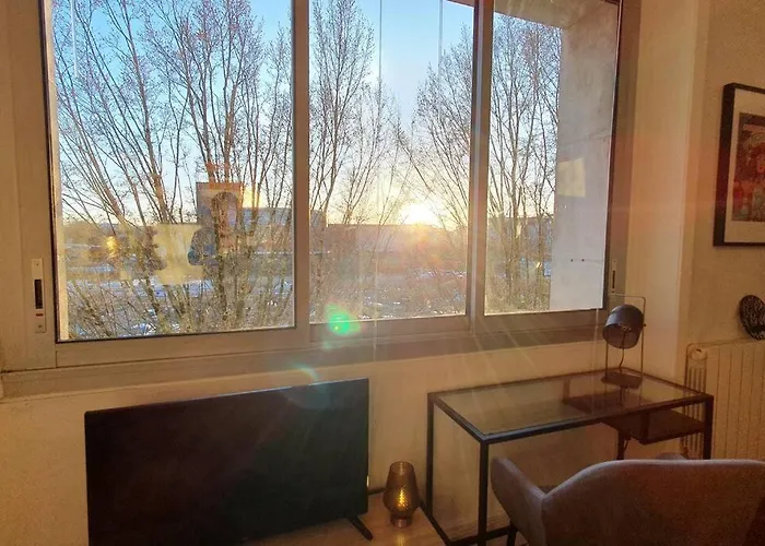 Felix Vue Erdre & Cite Des Congres / Gare Sud *